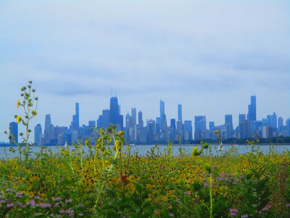 Fàájì Lawa invites Julian Green
