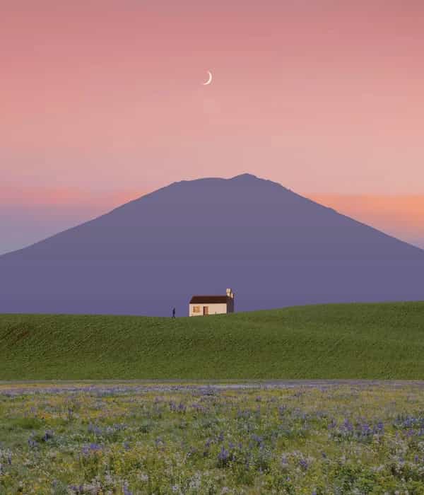 No Crowd Pleasers invites Suavez