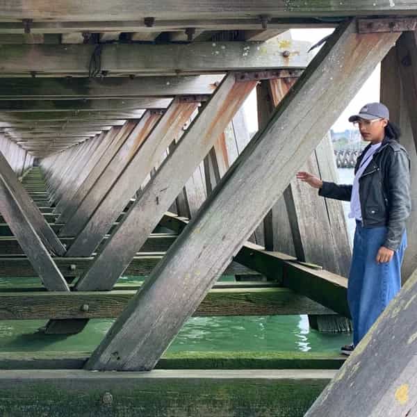 Melanin Forms of Dopamine