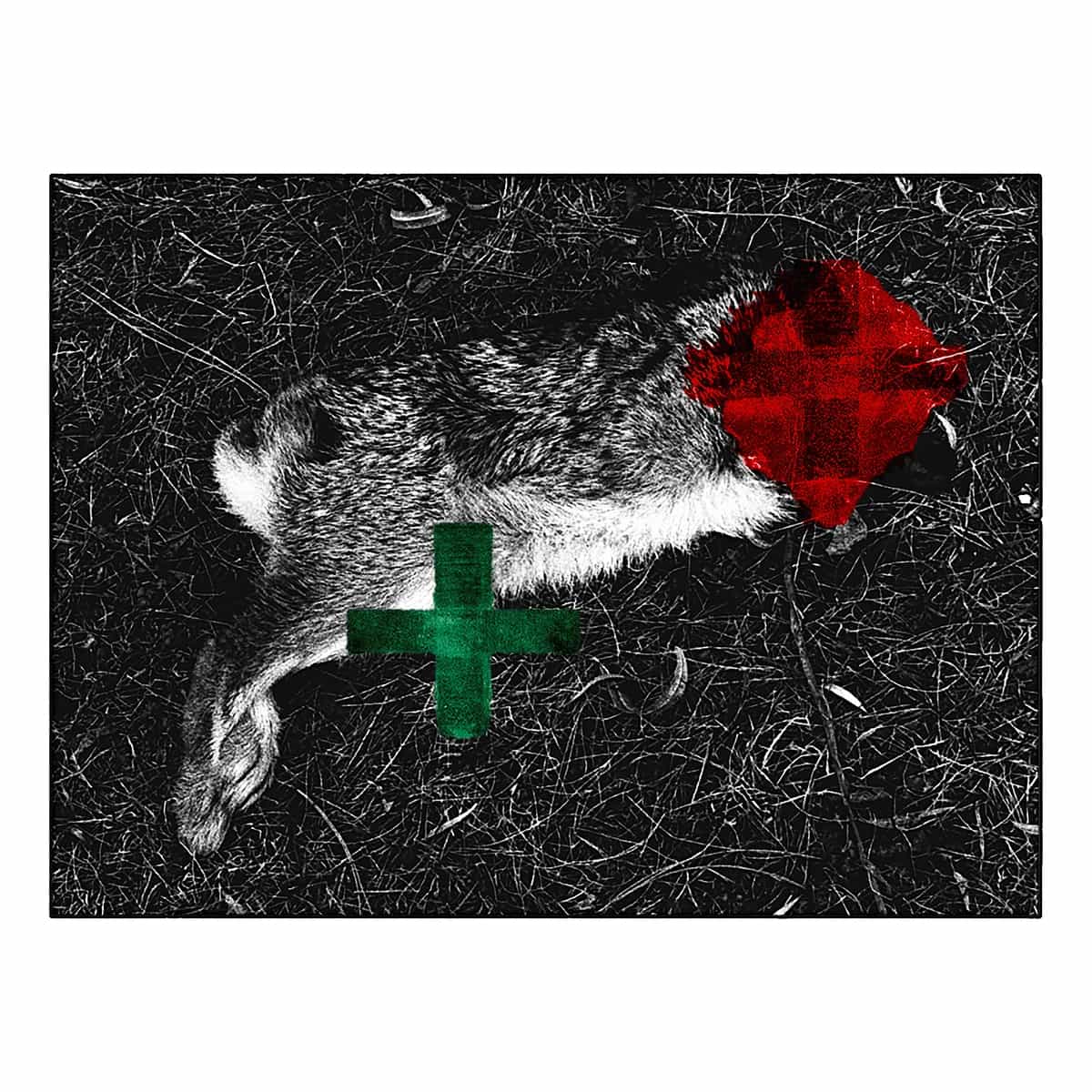 Oroko Radio: LOCAL PASSPORT