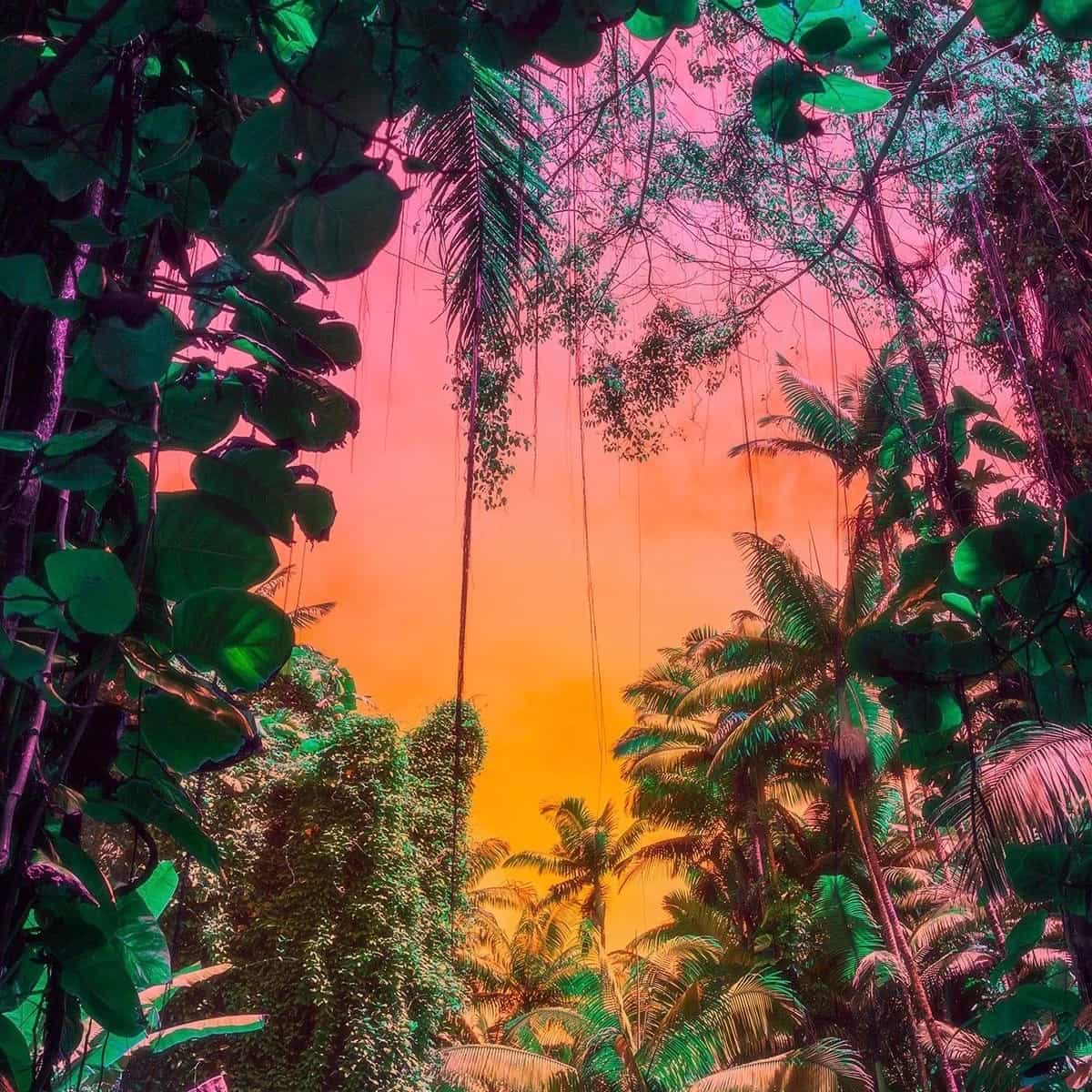 Live & Direct invites Tori