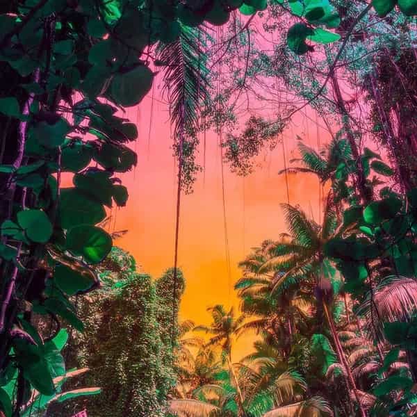 Live & Direct invites Tori