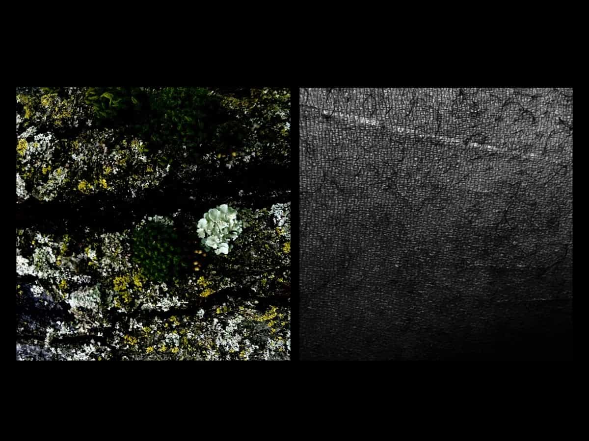 Oroko Radio: LOCAL PASSPORT