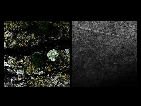 Oroko Radio: LOCAL PASSPORT