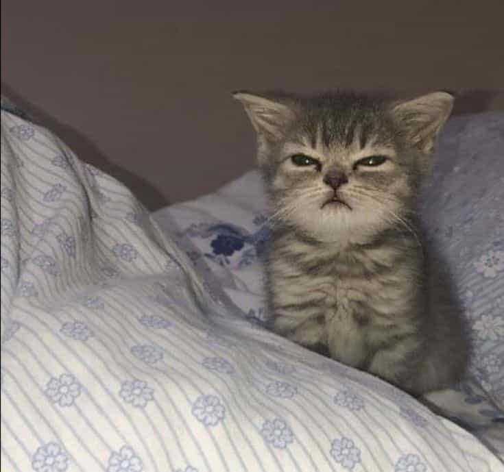 Sound Explorer: Hibernation