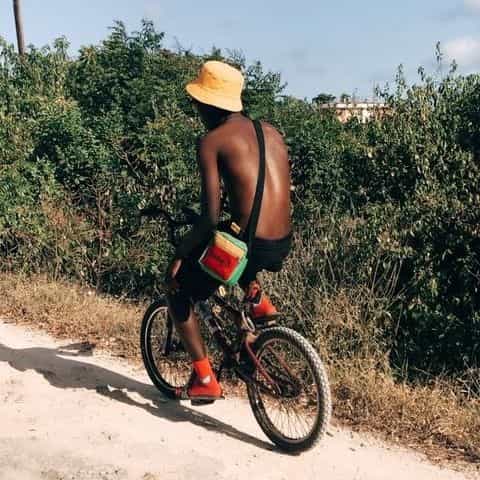 The Hi8us Experiment