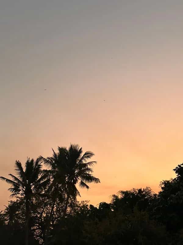 The Get Down invites Deejay Kace