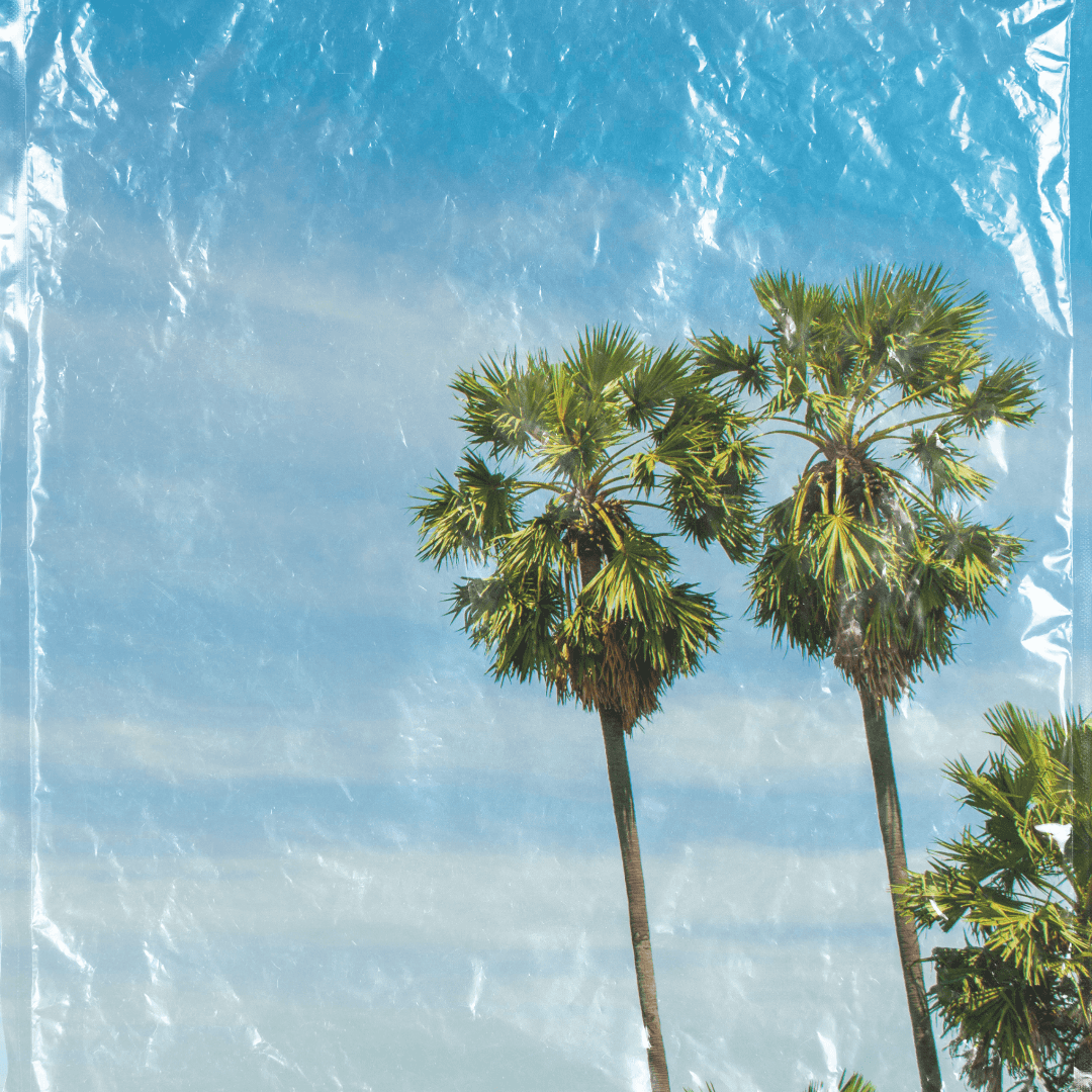 Live & Direct invites Peart