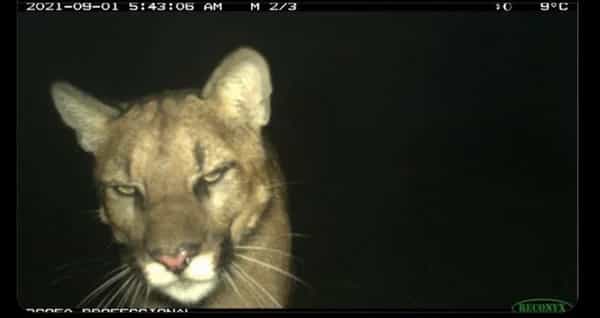 Heard Radio invites AIDEL