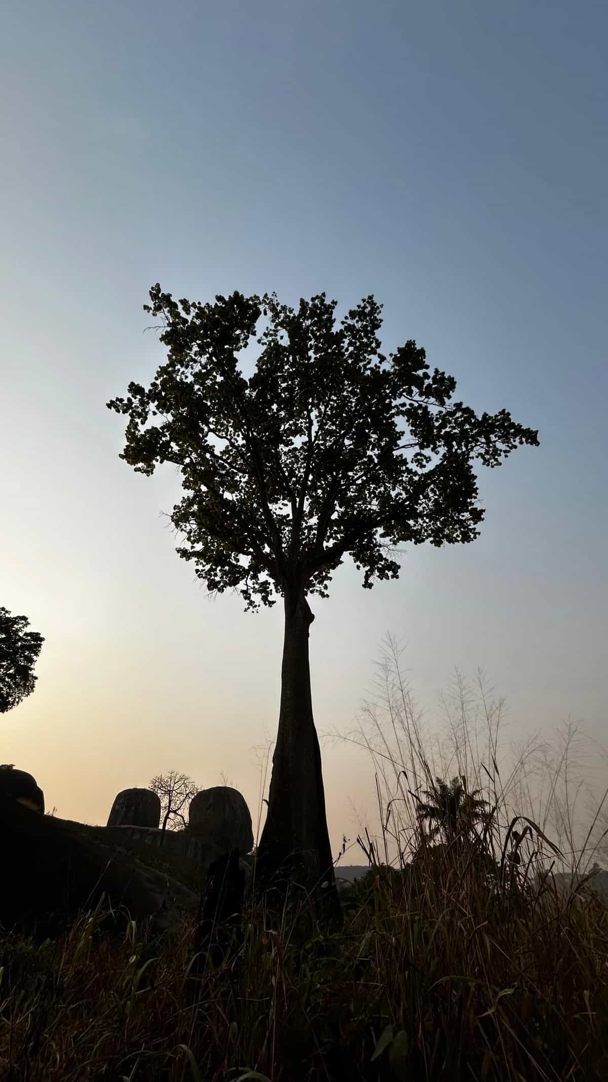 Sound Without Borders