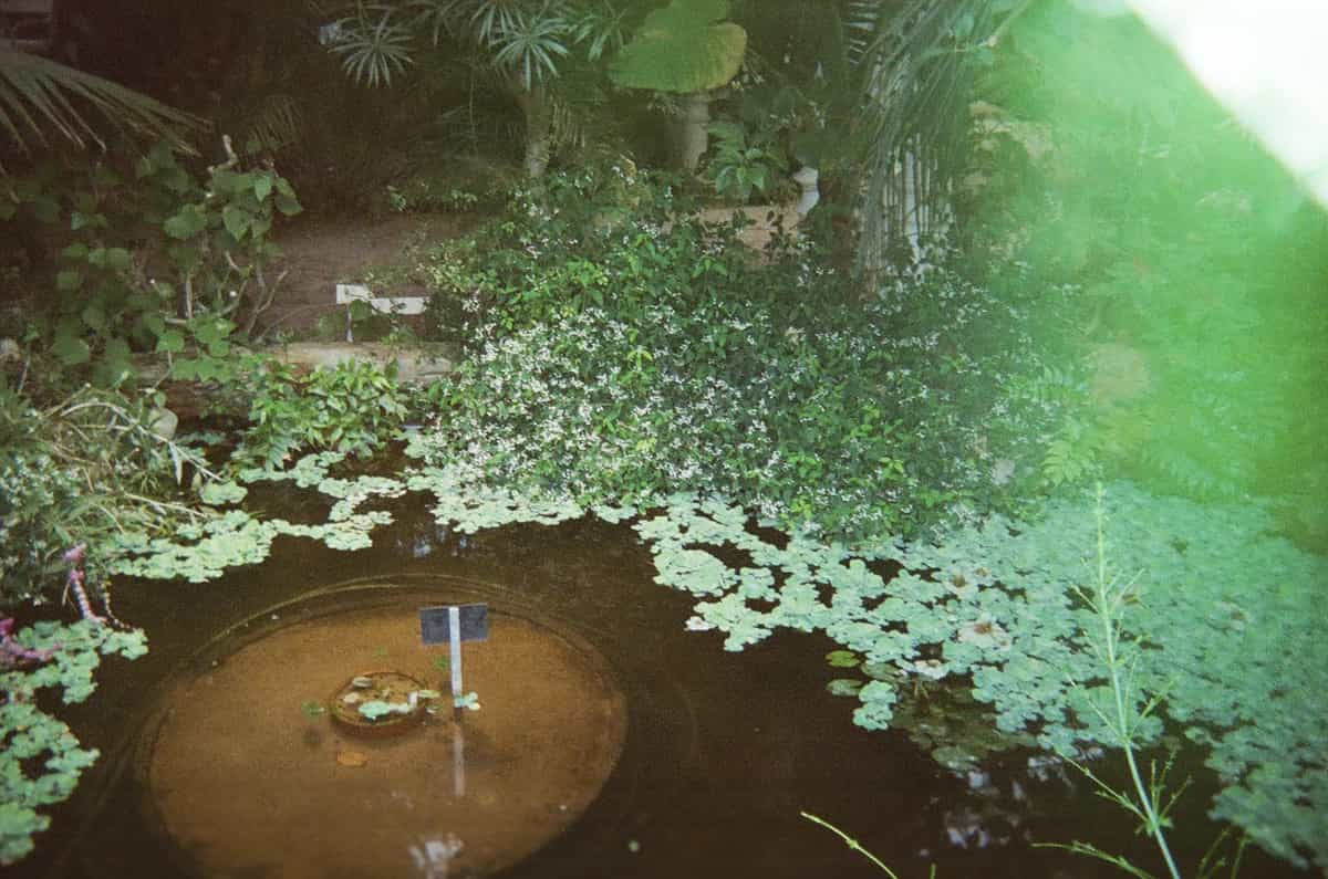 Fàájì Lawa invites Spliffany Evans