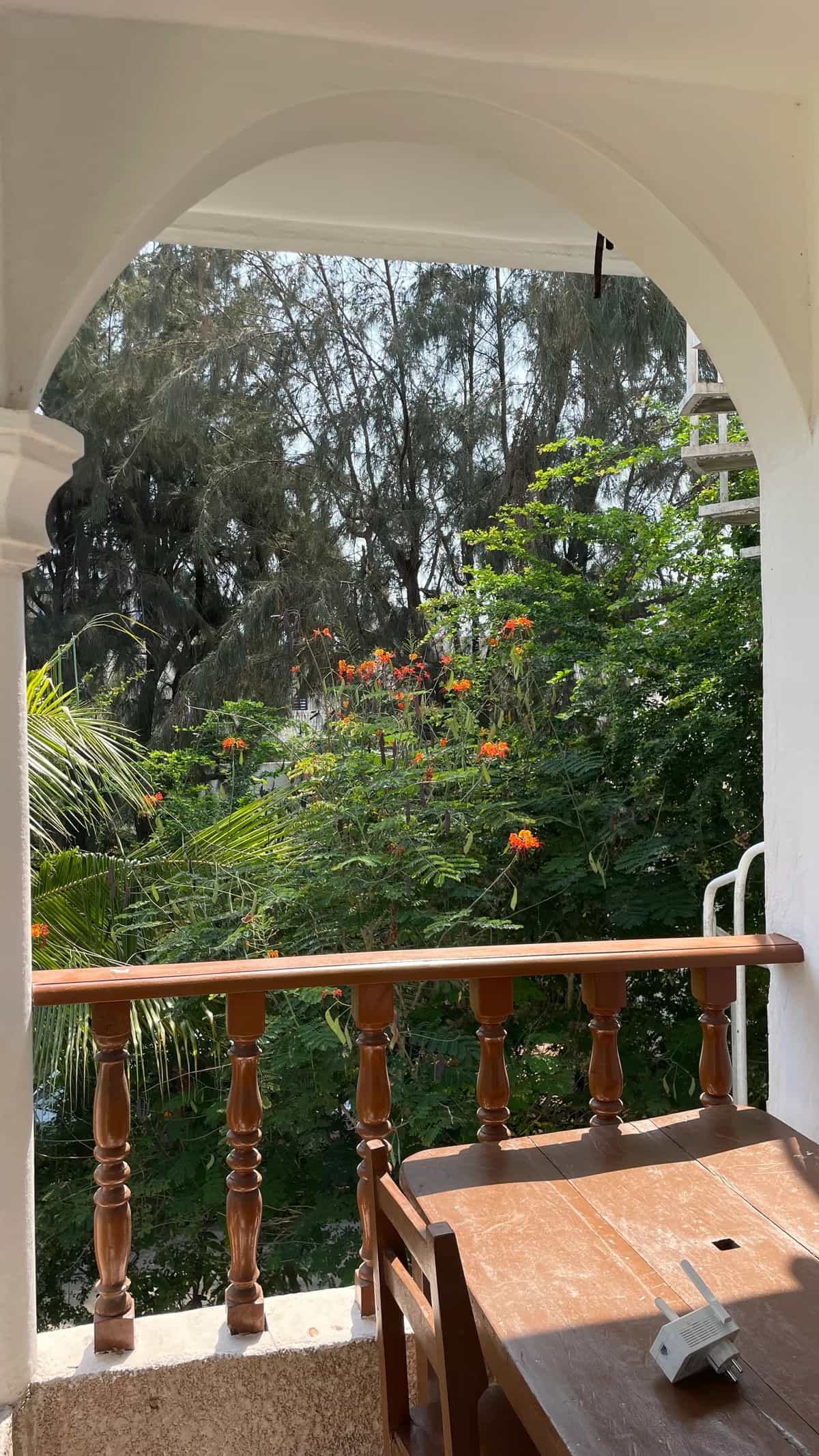 Get in, we are going to drag joy!