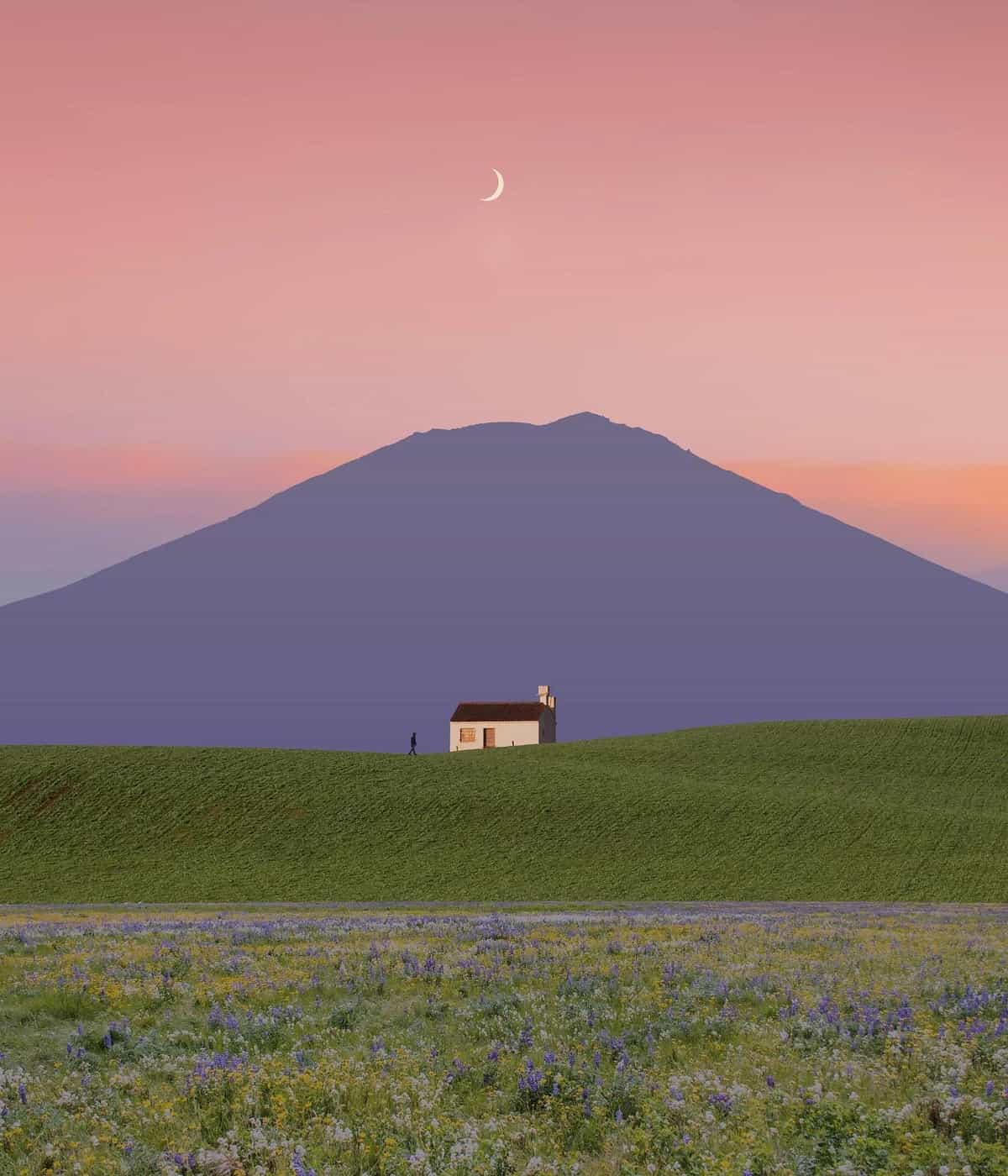 No Crowd Pleasers invites Suavez