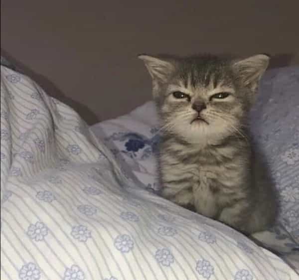 Sound Explorer: Hibernation