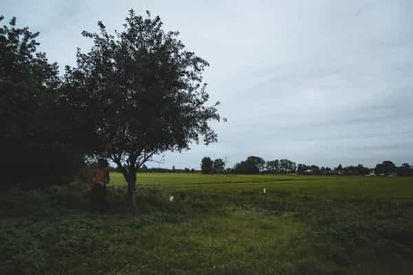 United Identities: Radio Tour