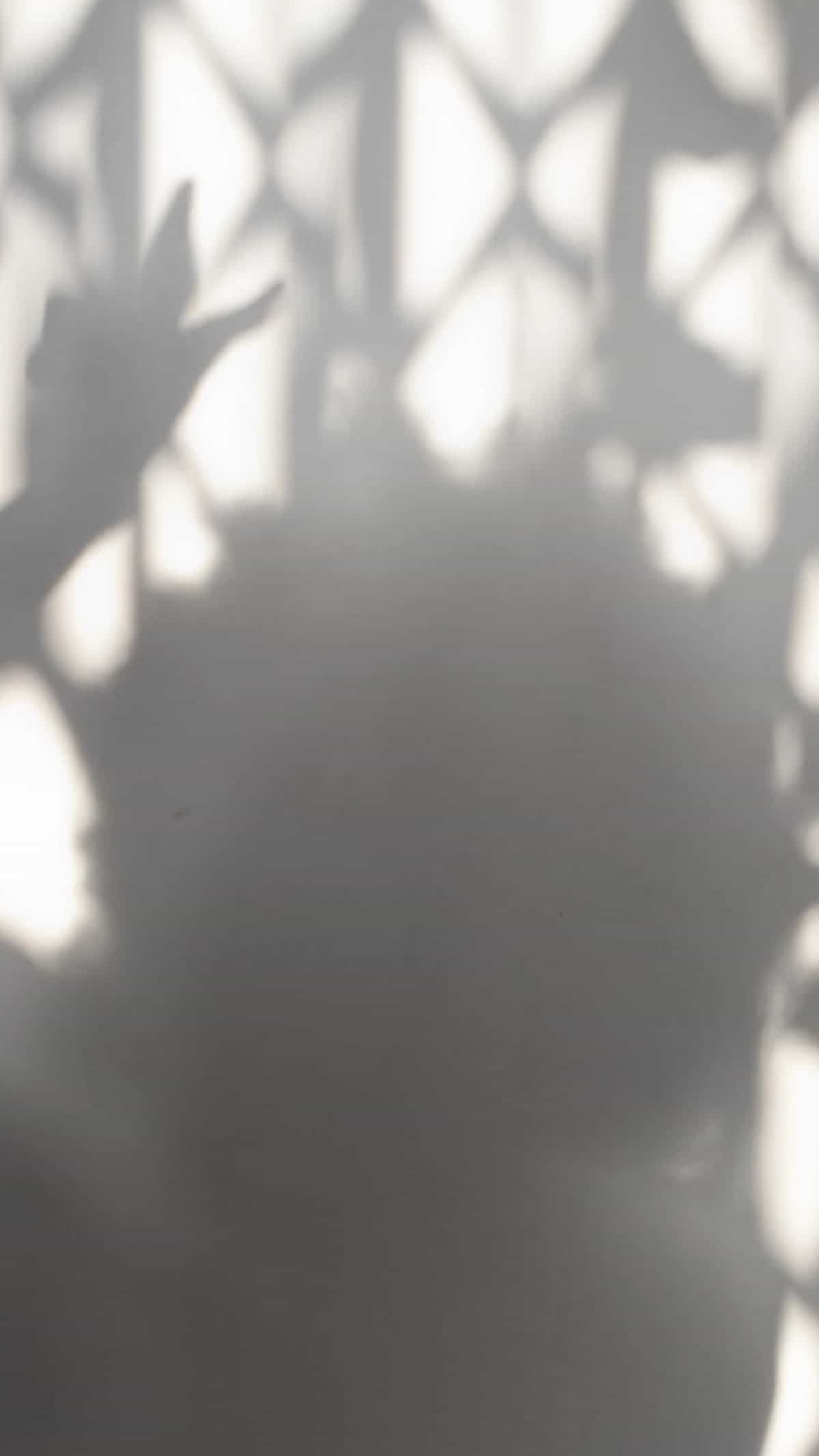 Musings, Music, Questions and Tea