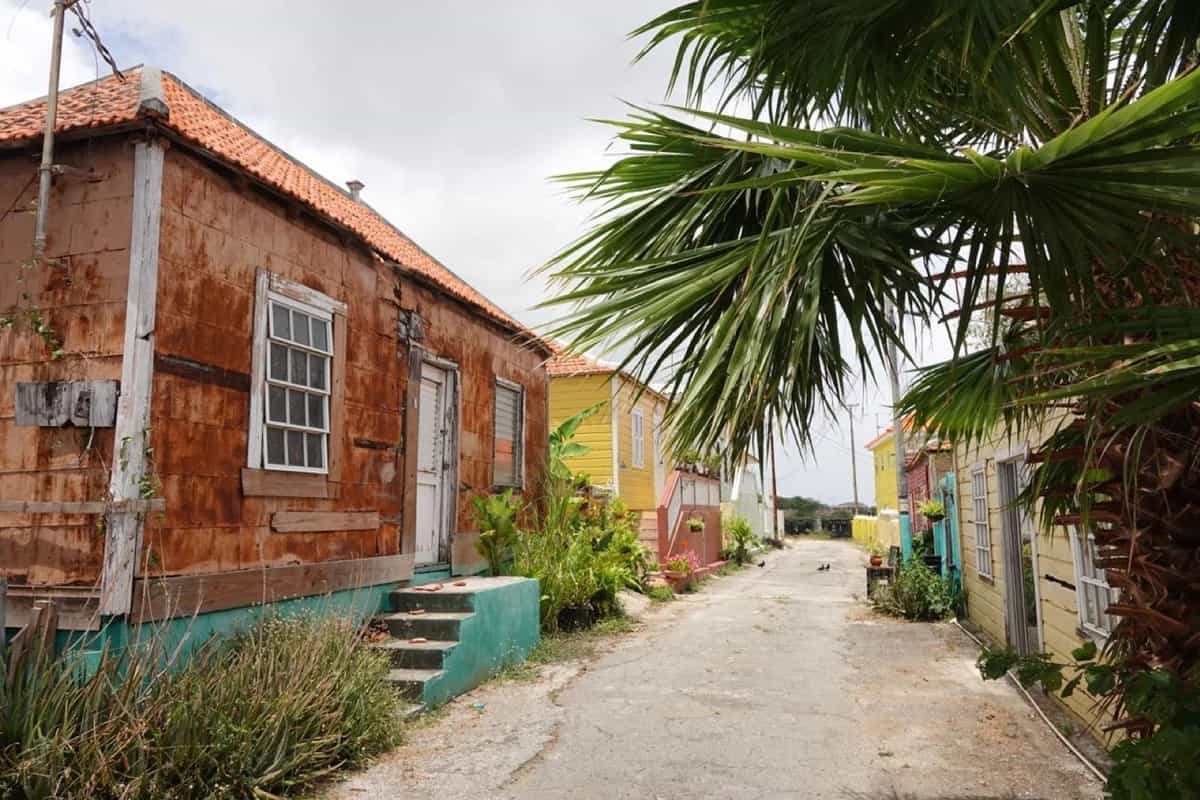 OGRI METI invites audt98